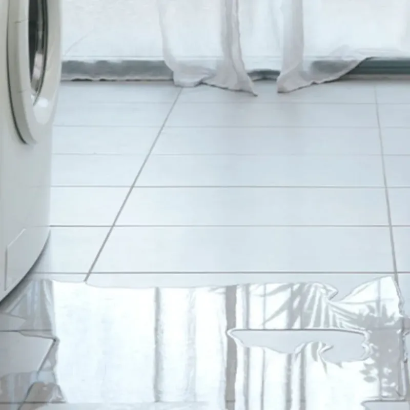 Appliance Leak Cleanup in Athens, AL